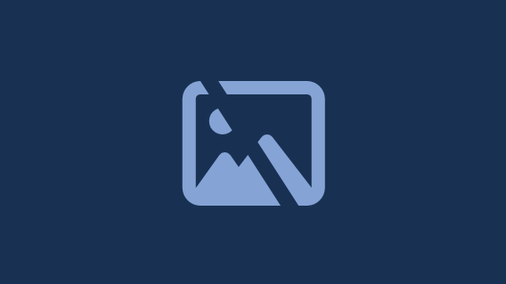 API Company